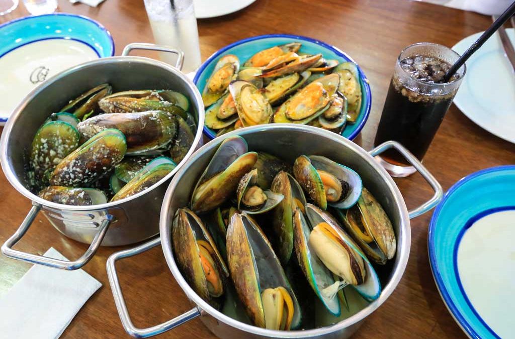 NZ Greenshell Mussel (Perna canaliculus)