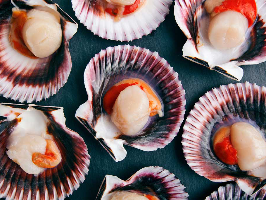 Japanese Scallops - Roe On - Holt Seafood
